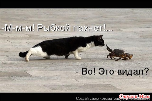 Улыбнись! (продолжение)