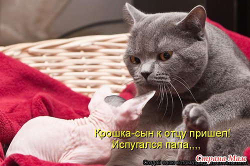 Улыбнись! (продолжение)