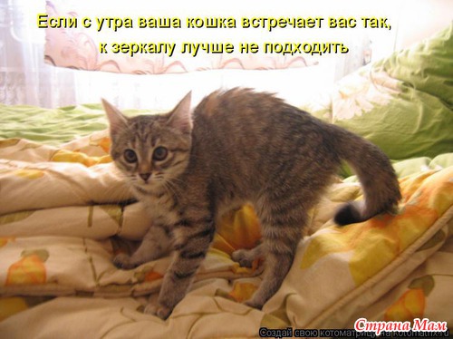 Улыбнись! (продолжение)
