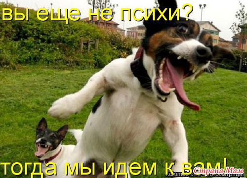 Улыбнись!)