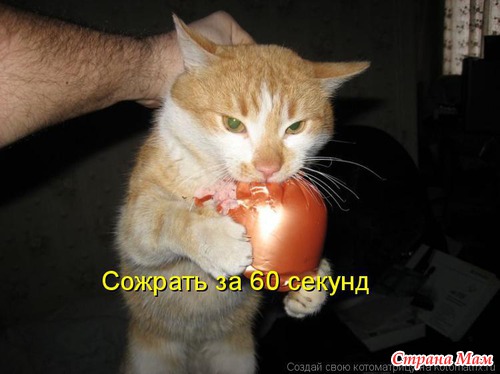 Улыбнись!)