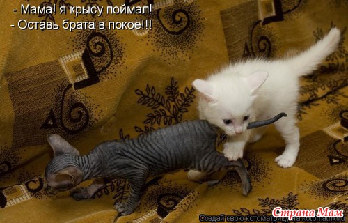 Улыбнись!)