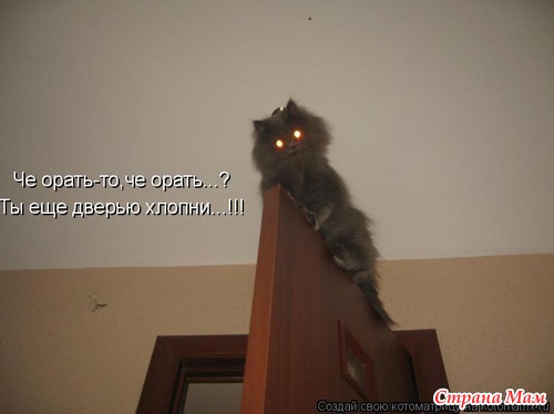Улыбнись!)