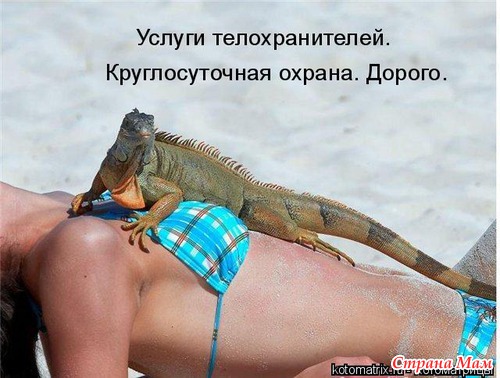 Улыбнись!)