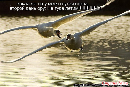 Улыбнись!)