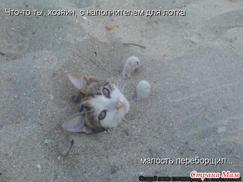 Улыбнись!)