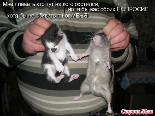 Улыбнись!)