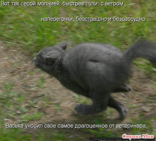 Улыбнись!)