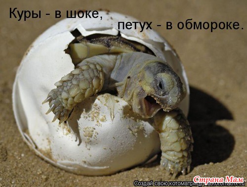 Улыбнись!)