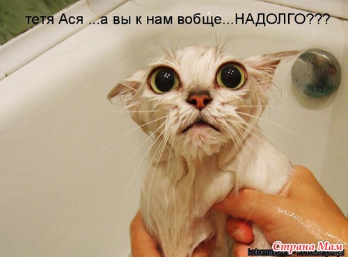Улыбнись!)