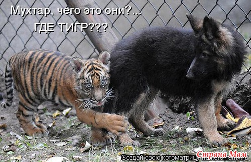 Улыбнись!)