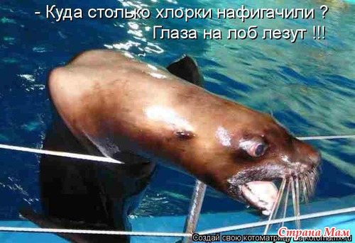Улыбнись!)