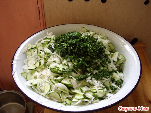 Консервированный салат из огурцов и лука