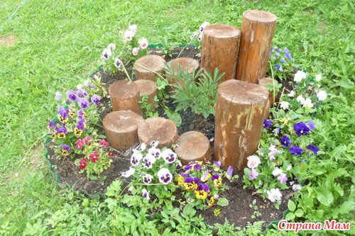 Мои цветочки) впервые в жизни мы с мужем вырастили такую красоту)