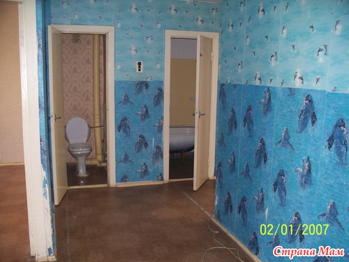 Моя новая головная боль)))