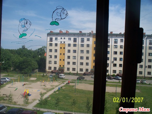Моя новая головная боль)))