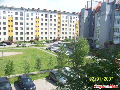Моя новая головная боль)))