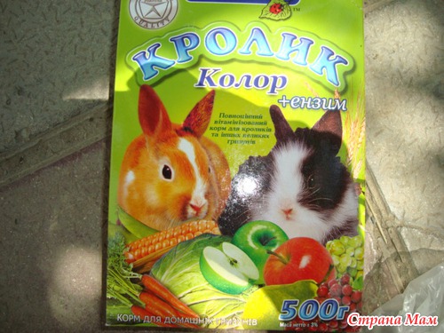 Роби идет на поправку!