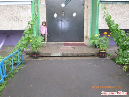 Бабушки без дела не сидели-продолжение...