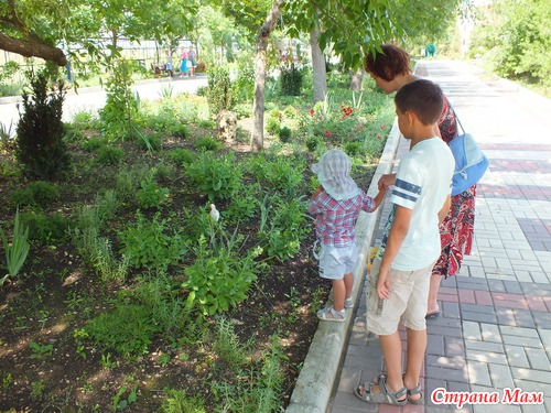 Крым 2012. Феодосия. Сафари-парк львов "Тайган"