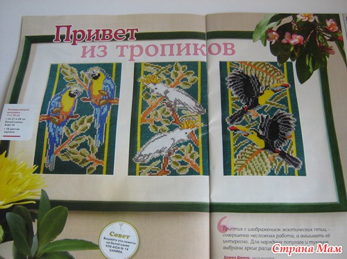 "ЯРКАЯ ПОЛОСА"