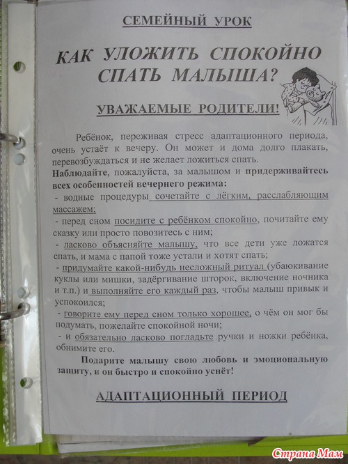 Адаптационный период. Помощь родителям.