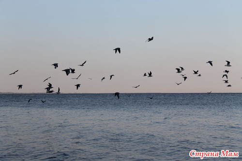 АЗОВСКОЕ МОРЕ (с. ЮРЬЕВКА)