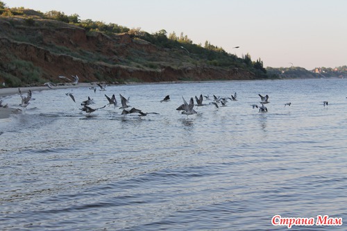 АЗОВСКОЕ МОРЕ (с. ЮРЬЕВКА)