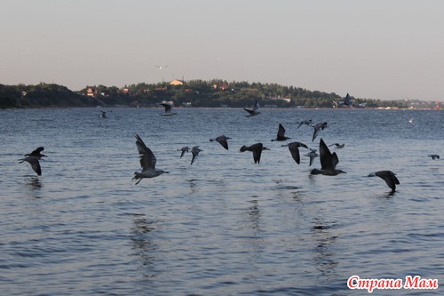 АЗОВСКОЕ МОРЕ (с. ЮРЬЕВКА)