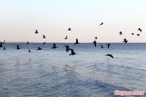 АЗОВСКОЕ МОРЕ (с. ЮРЬЕВКА)