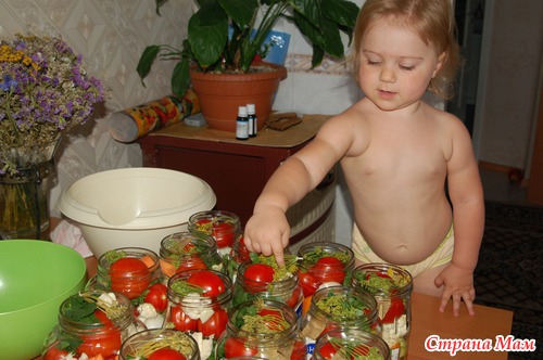Вести с... кухни, или как мы готовимся к зиме