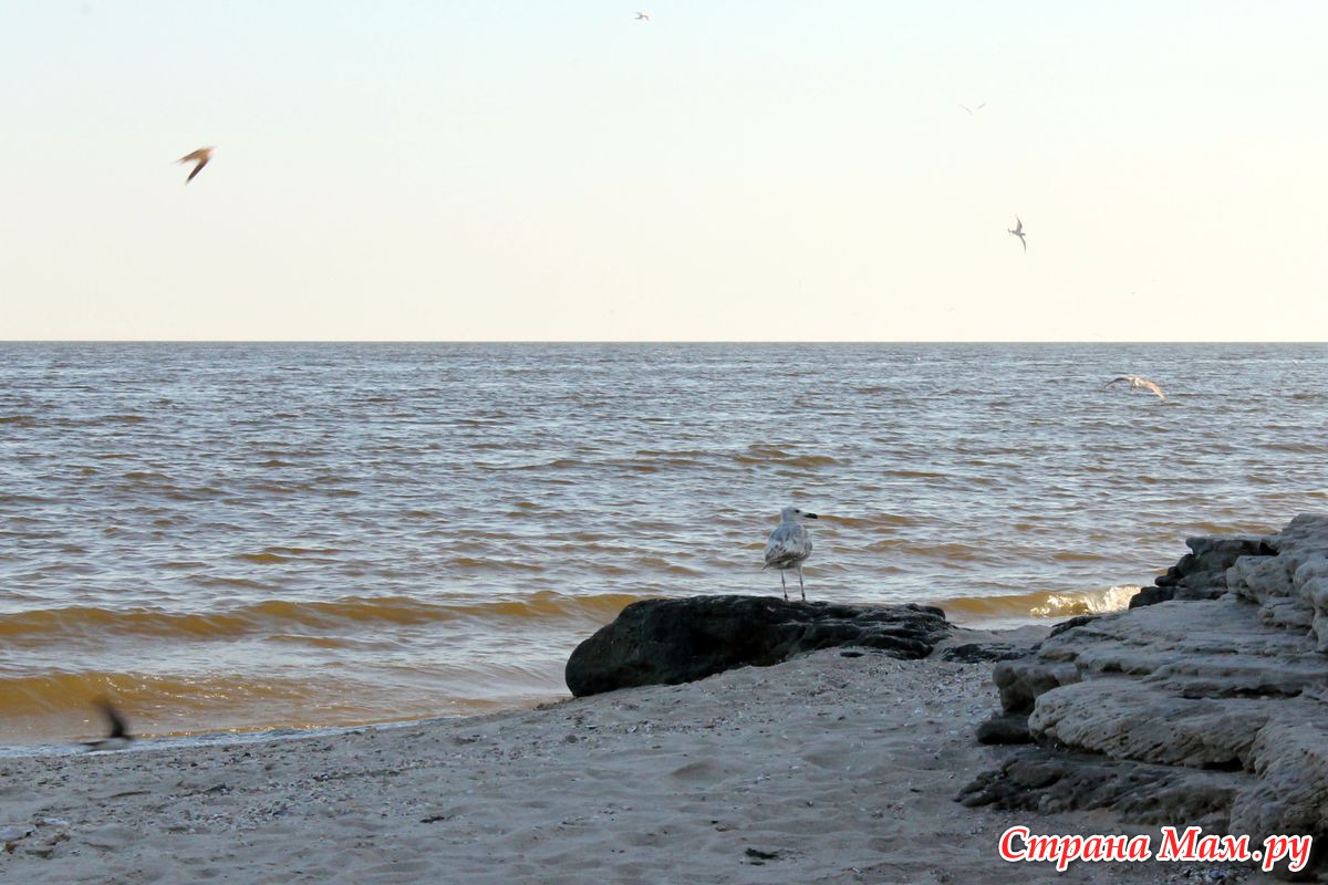 АЗОВСКОЕ МОРЕ (с. ЮРЬЕВКА) - Фотографы - Любители - Страна Мам