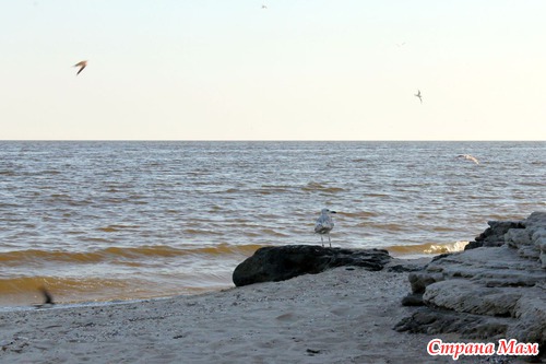АЗОВСКОЕ МОРЕ (с. ЮРЬЕВКА)