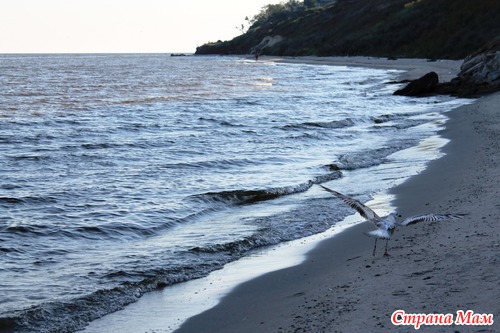 АЗОВСКОЕ МОРЕ (с. ЮРЬЕВКА)