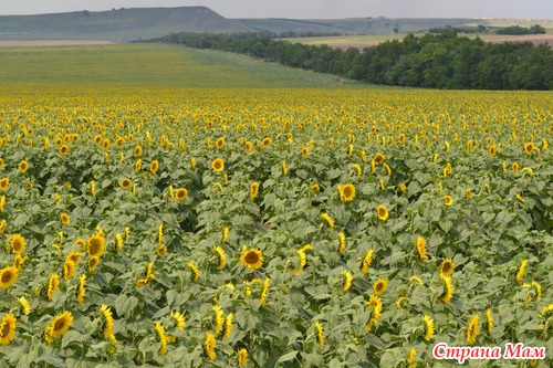 Отпуск 2012