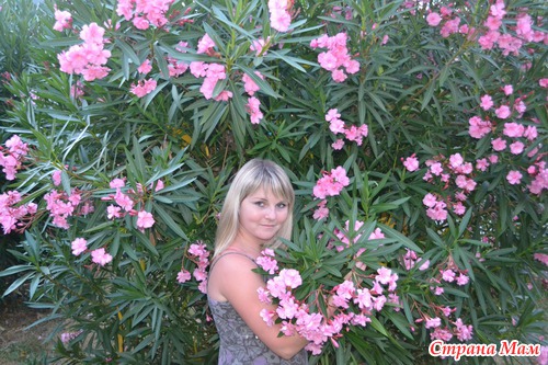 Отпуск 2012