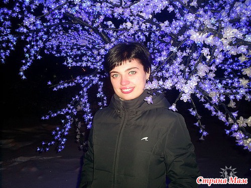 Сегодняшнее фото