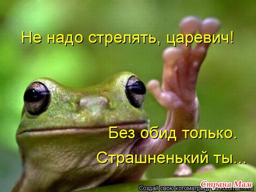 Цитаты и фото приколы. Просто поржать