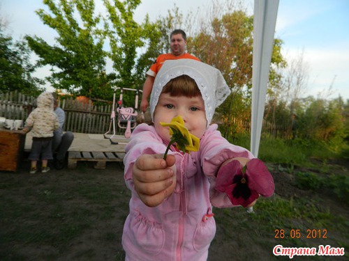 О том о сем...