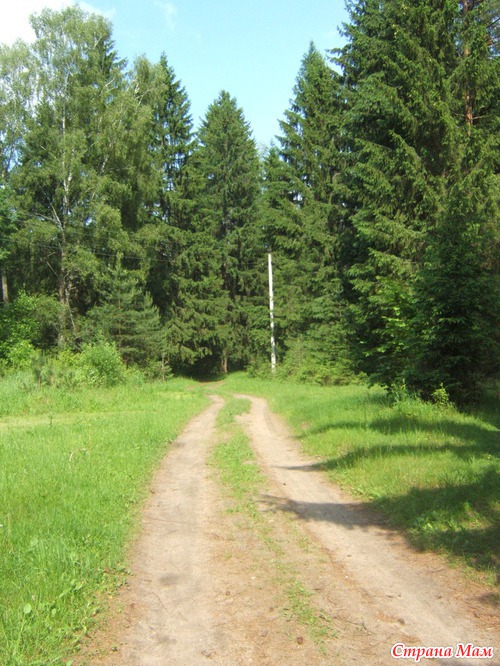Прогулялись в Тихонову пустынь.