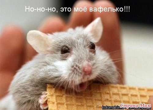 Делюсь позтиффчиком)))