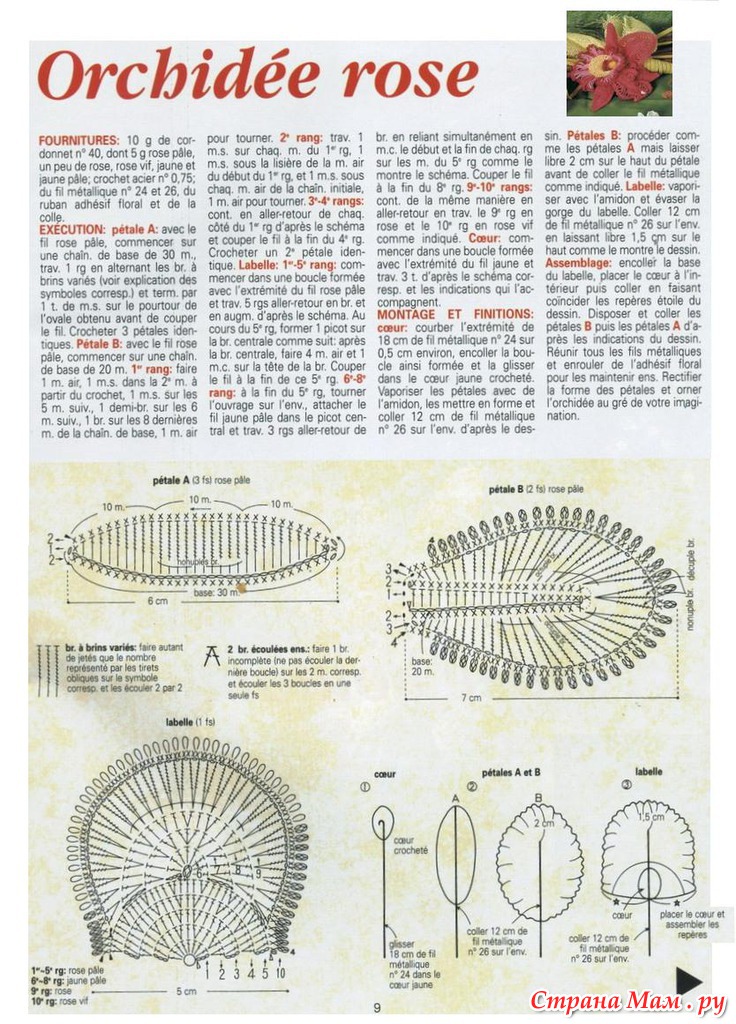 Схема вязания крючком орхидеи