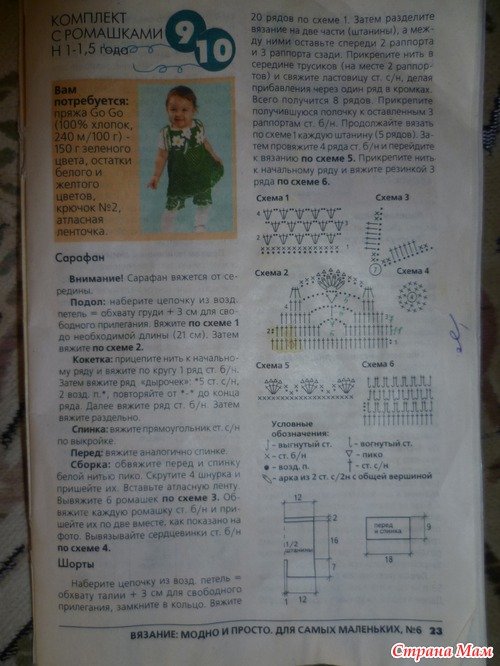 Все клубничку собирают, а у нас цветут ромашки!!!