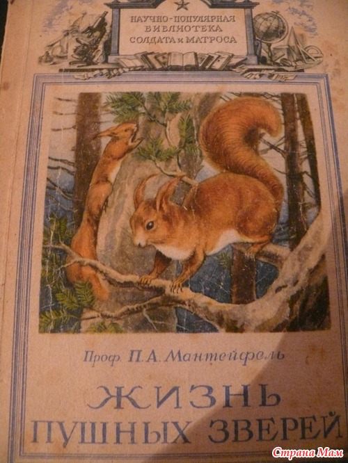 Дачный дыбр (должен быть №1):заезд