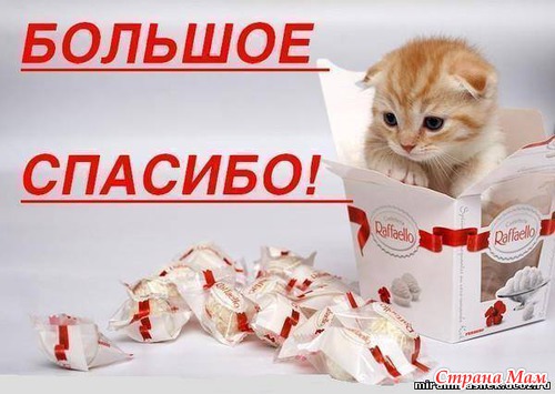 Вот и к нам плилетел Дед Мороз.