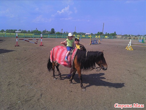 Новое хобби