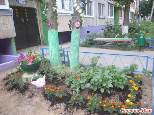 Бабушки без дела не сидели