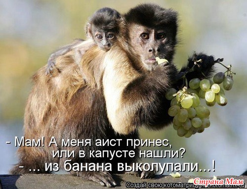 Кому как повезло.