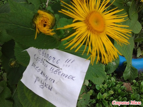 Это надо же такое написать...