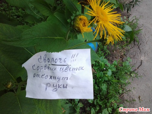 Это надо же такое написать...